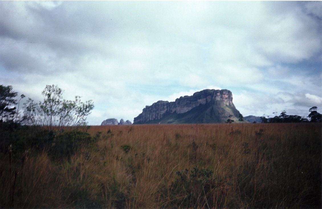 a flat topped mesa beyond dry orange grass