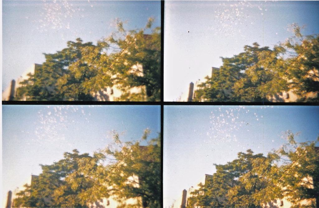 treetops and a building against a sky of white specks