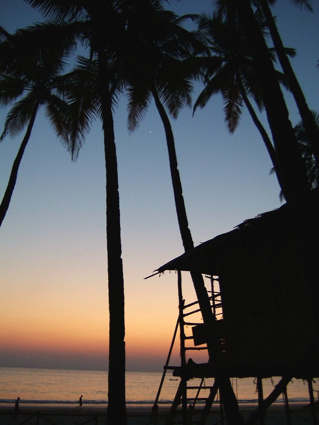 coconut palms and a hut on stilts in silhouette against an orange and blue dusk sky at Palolem