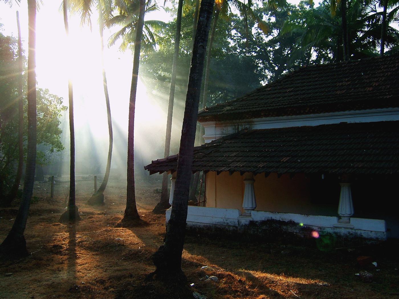 sun rays break through smoke and palm trunks beside a house with a tiled roof