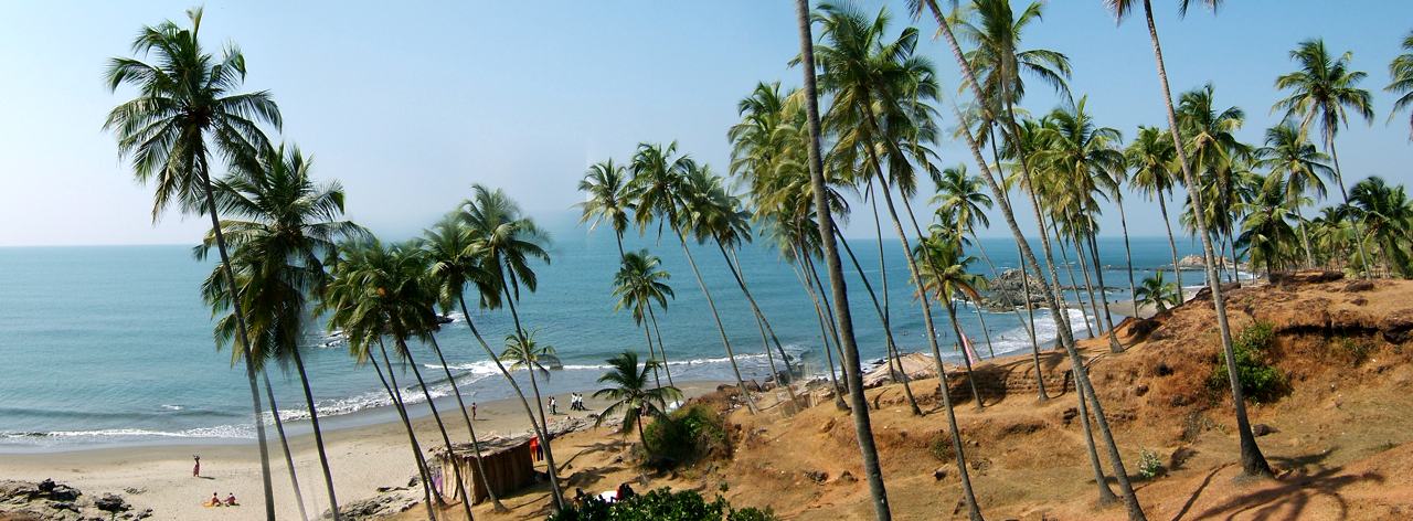 leaning coconut palms on a dry hillside above a small sandy cove and a blue sea, a wide view in several frames