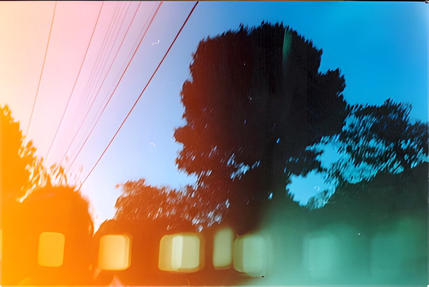 a tree against an orange flare