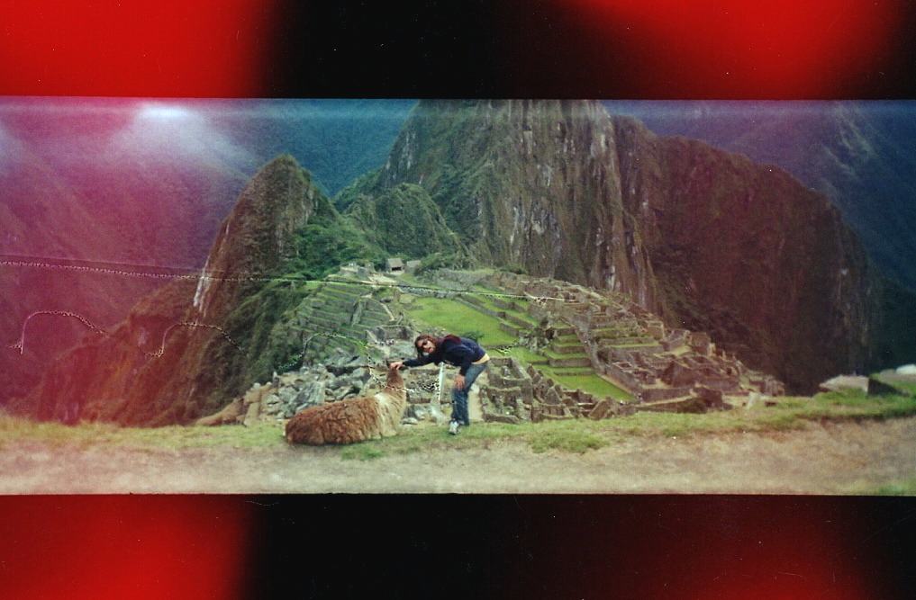 Machu Picchu, petting a llama above the stone terraces