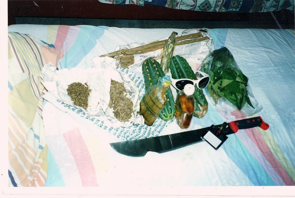 medicinal plants carried down the Amazon, Iquitos