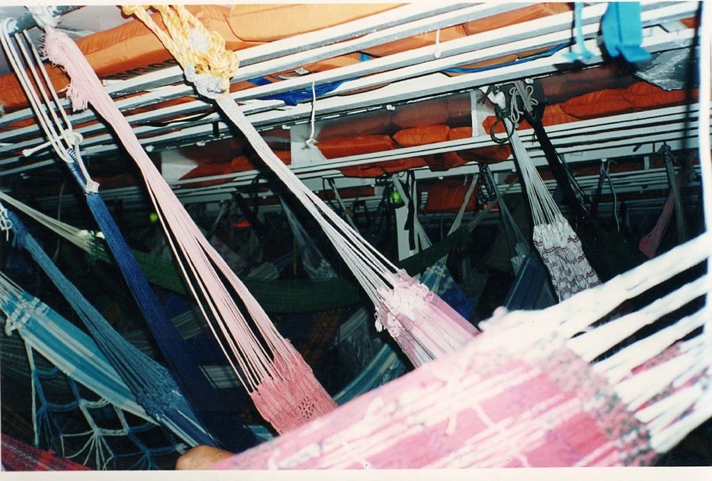 rows of hammocks strung under a boat deck ceiling