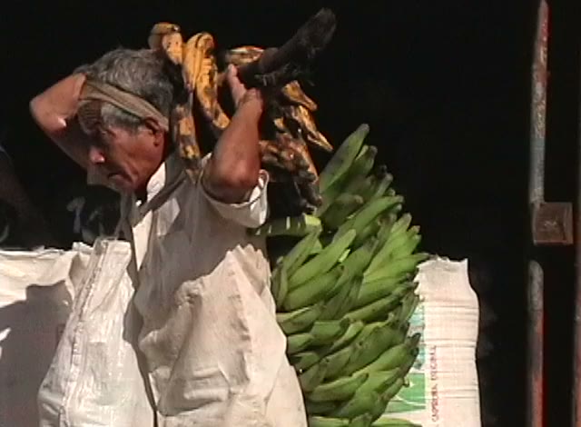 A man carrying a great load of green bananas on his back in the dark, a white sack beside him.