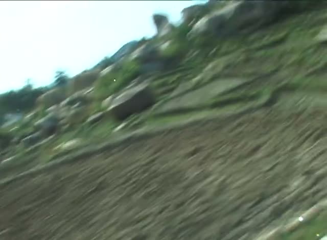 A blur of green hillside rushing past, shot from a moving vehicle.