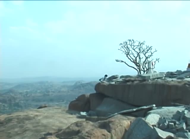 A bare tree on a granite boulder above a hazy plain of rocks at dawn, a frame from the tape.