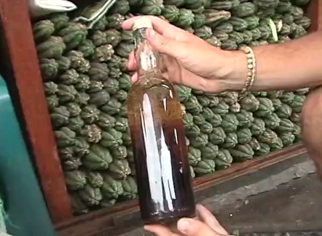 Two hands holding up a bottle of dark brew in front of a wall of green fruit, a frame from the tape.