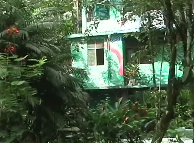 A green painted house with a spiral on its wall, half hidden by the jungle's leaves and red flowers, a frame from the tape.