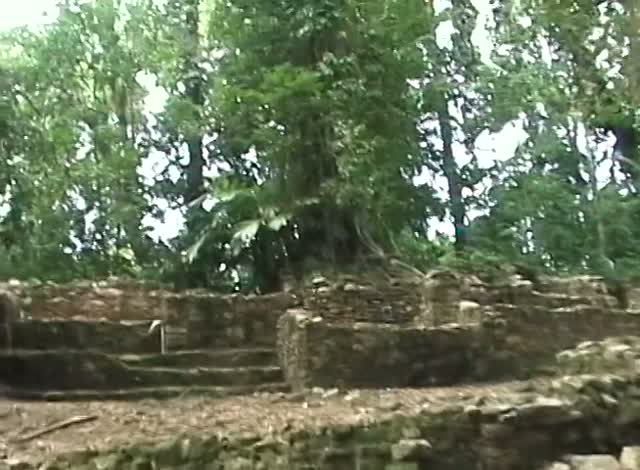 Low ruined stone walls in a clearing of tall jungle trees.